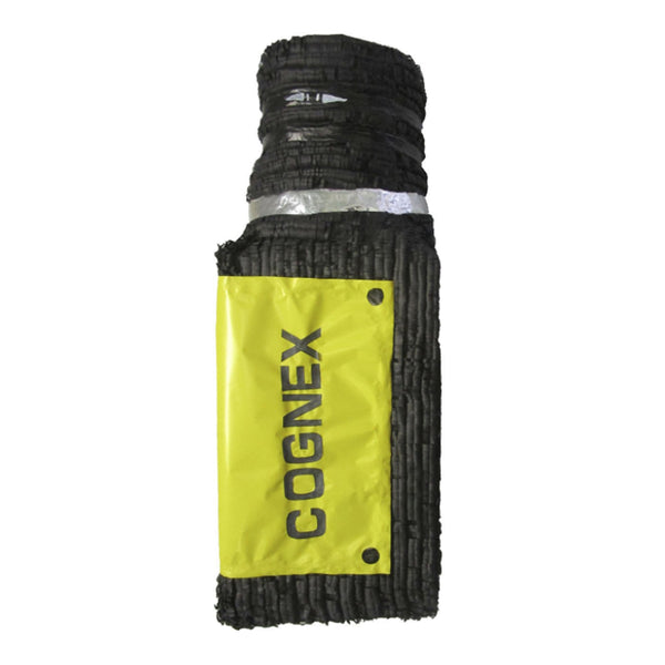 Cognex Custom Pinata