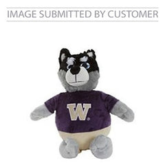 W Raccoon Custom Pinata