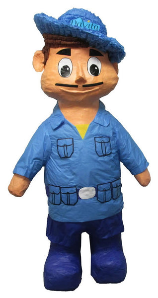 Custom DaVita Pinata