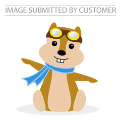 Squirrel Custom Pinata