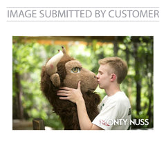 Funny Pic Pinata