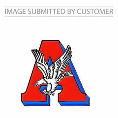A Eagle Logo Custom Pinata