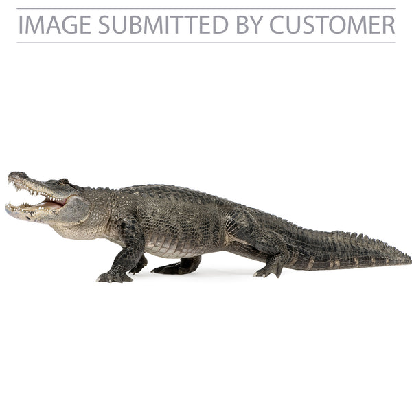 Alligator Custom Pinata – Pinatas.com