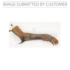 Grendels Arm Custom Pinata