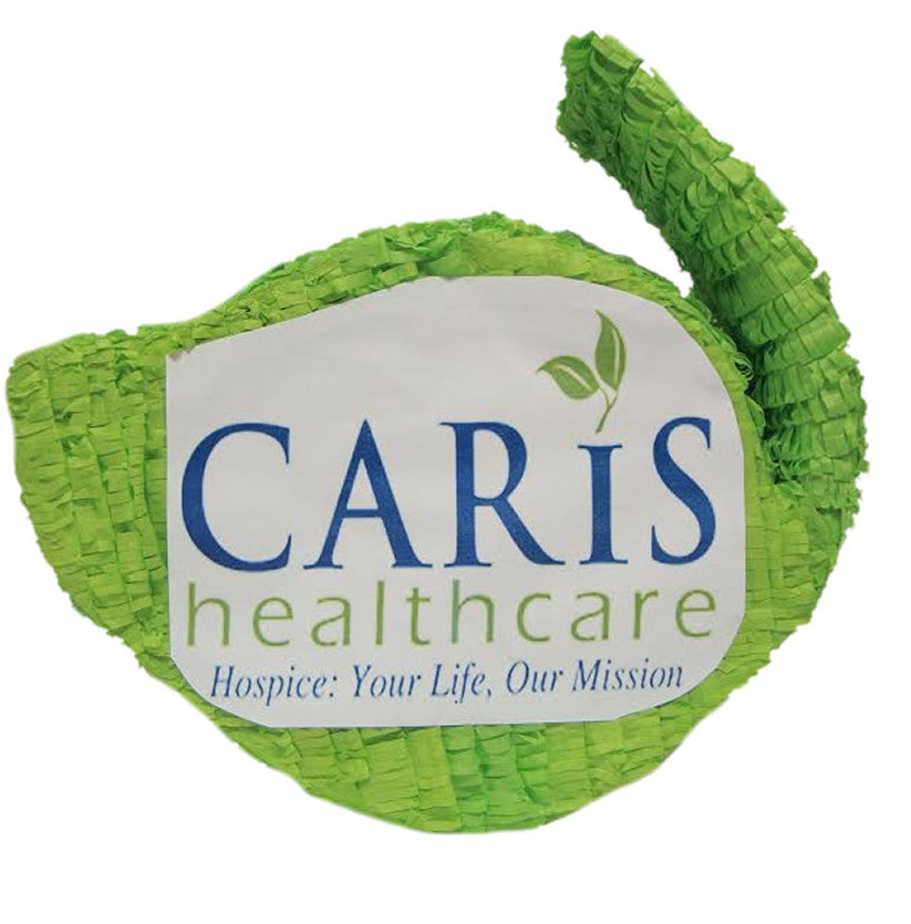 Custom Caris Healthcare Logo Pinata