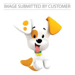 Bubble Puppy Custom Pinata