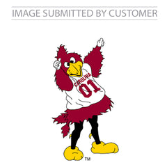Cocky Mascot University of South Carolina