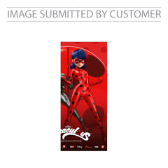 Miraculous Ladybug Custom Pinata