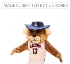 Arizona Mascot Custom Pinata