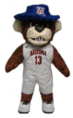 Custom Arizona Mascot Pinata