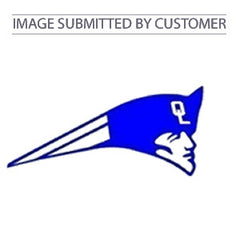 Patriots Logo Custom Pinata