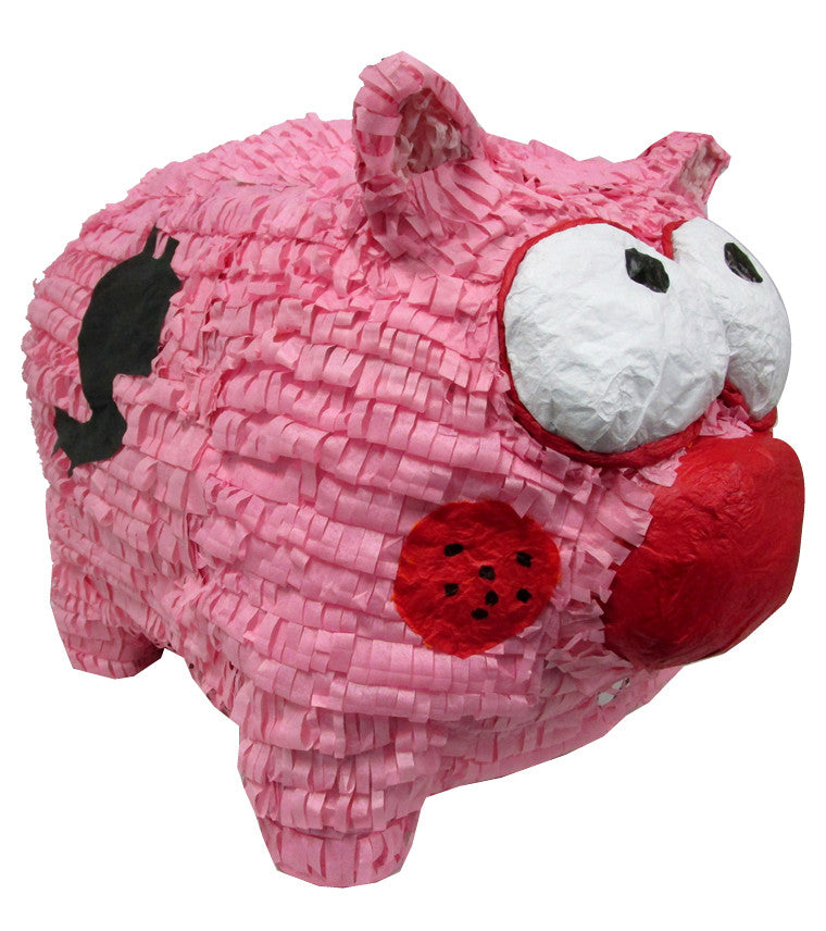 Custom Piggy Bank Pinata