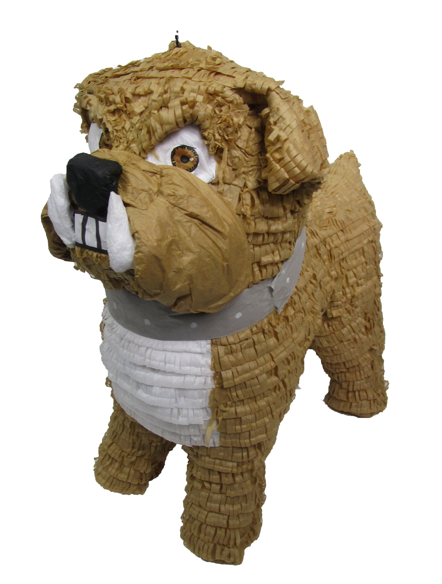 CUSTOM DOG PINATA