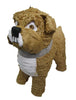 CUSTOM DOG PINATA