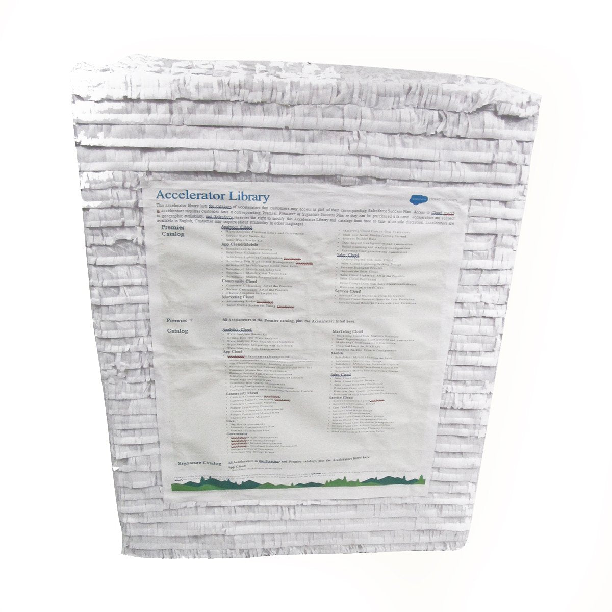Custom Accelerator Library Pinata
