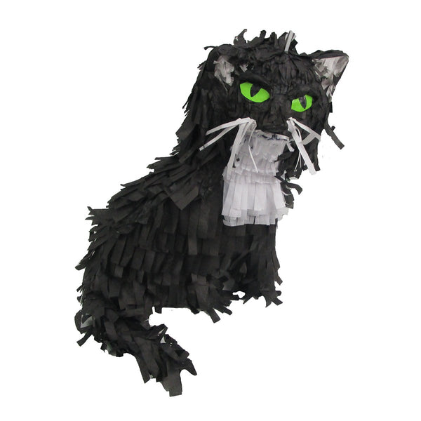 Custom Cat Pinata