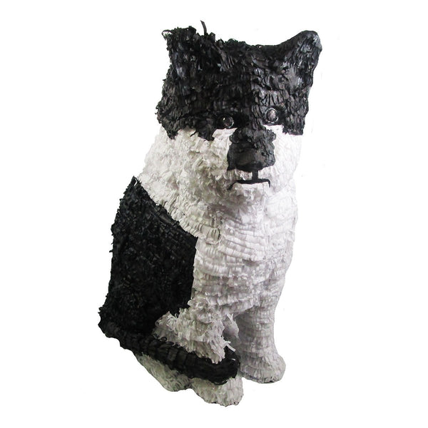 Custom Cat Pinata