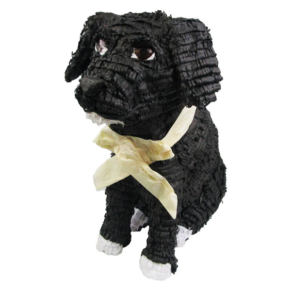 Custom Dog Pinata
