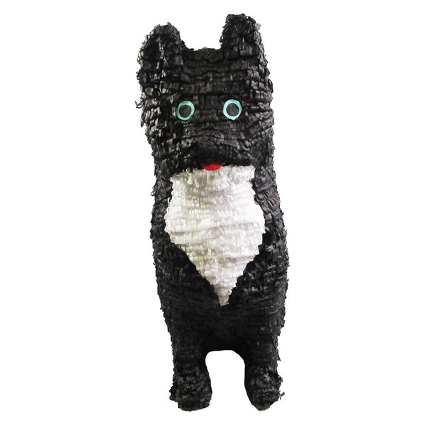 Custom Cat Pinata