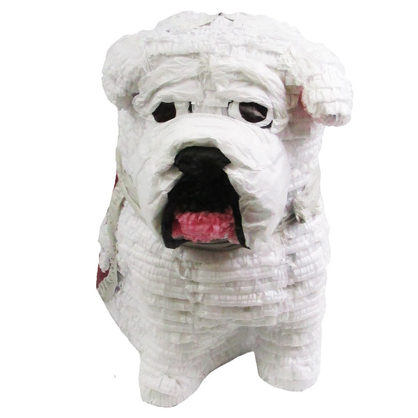 CUSTOM DOG PINATA