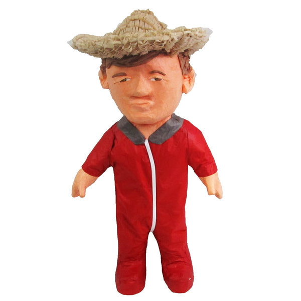 CUSTOM PERSON PINATA