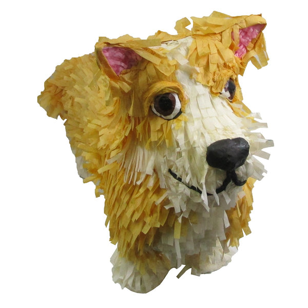 CUSTOM DOG PINATA