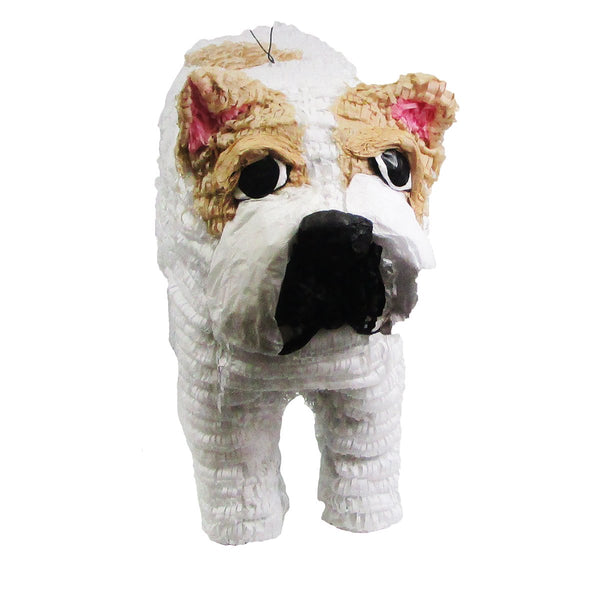 CUSTOM DOG PINATA
