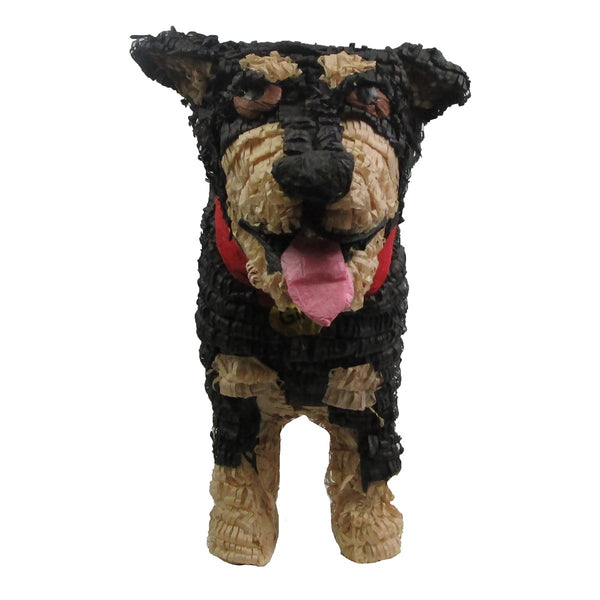 CUSTOM DOG PINATA