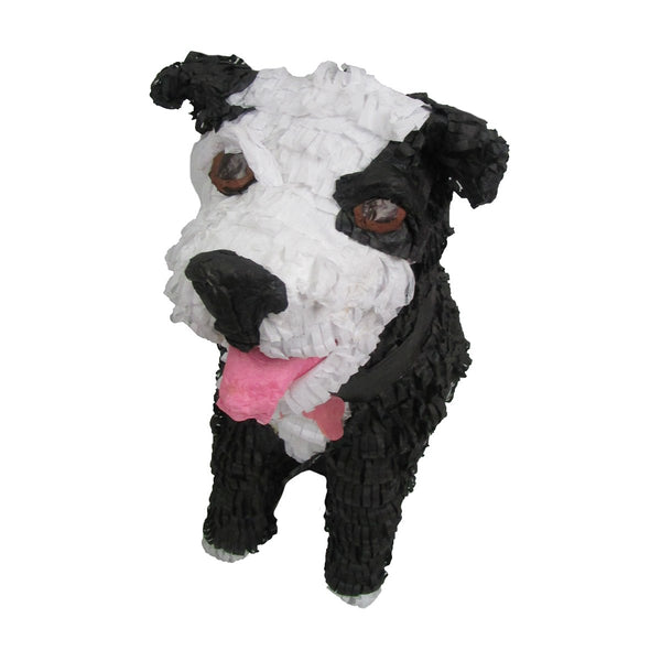 CUSTOM DOG PINATA