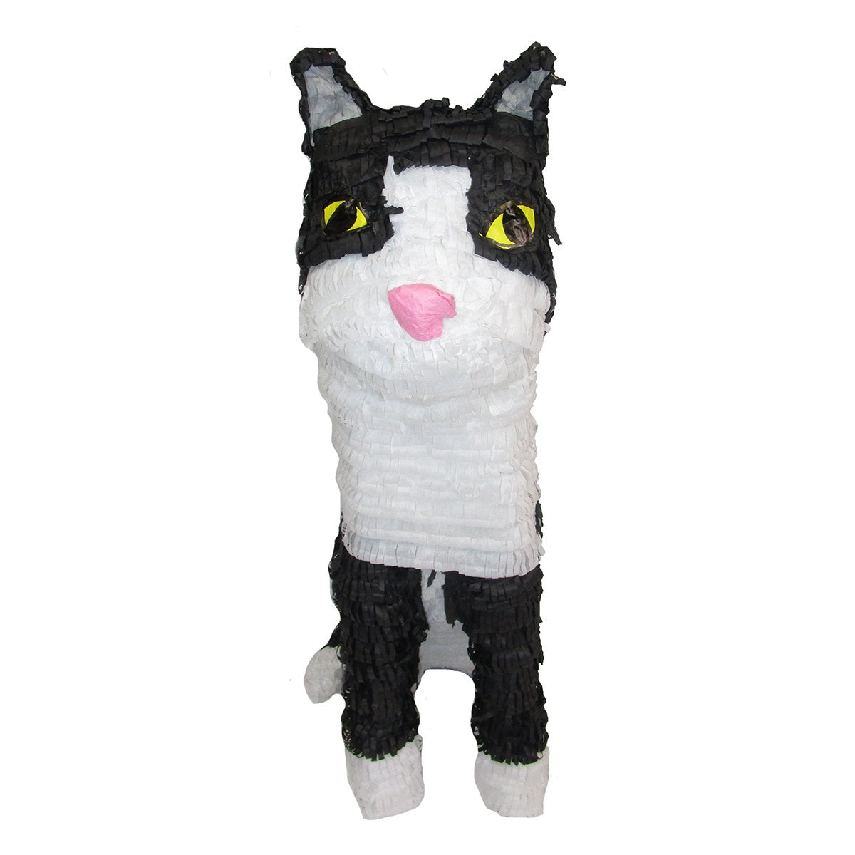 CUSTOM CAT PINATA