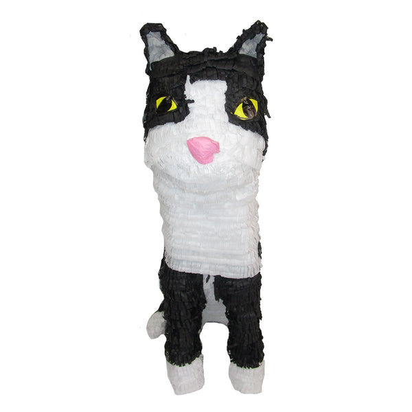 CUSTOM CAT PINATA