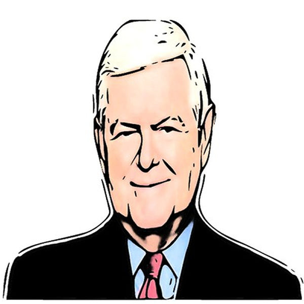 Newt Gingrich Pinata