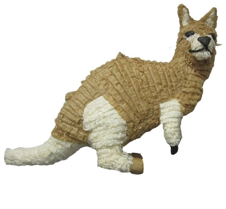 Kangaroo Custom Pinata