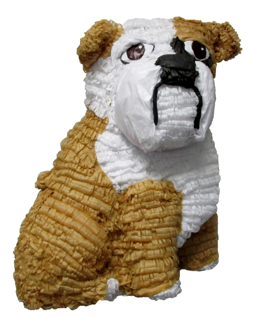 French Bulldog Frenchie, Hand Made Large 17” Piñata, Birthday Party Pinata