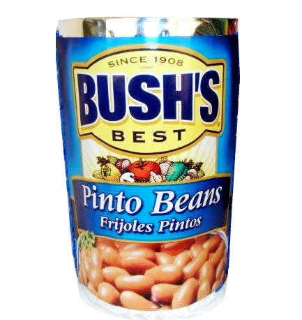 Bush Pinto Beans Pomotional Pinata