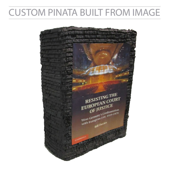 Custom Book Pinata