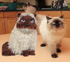 Custom Cat Pinata