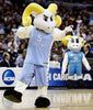 Custom Sports Team Mascot Pinata