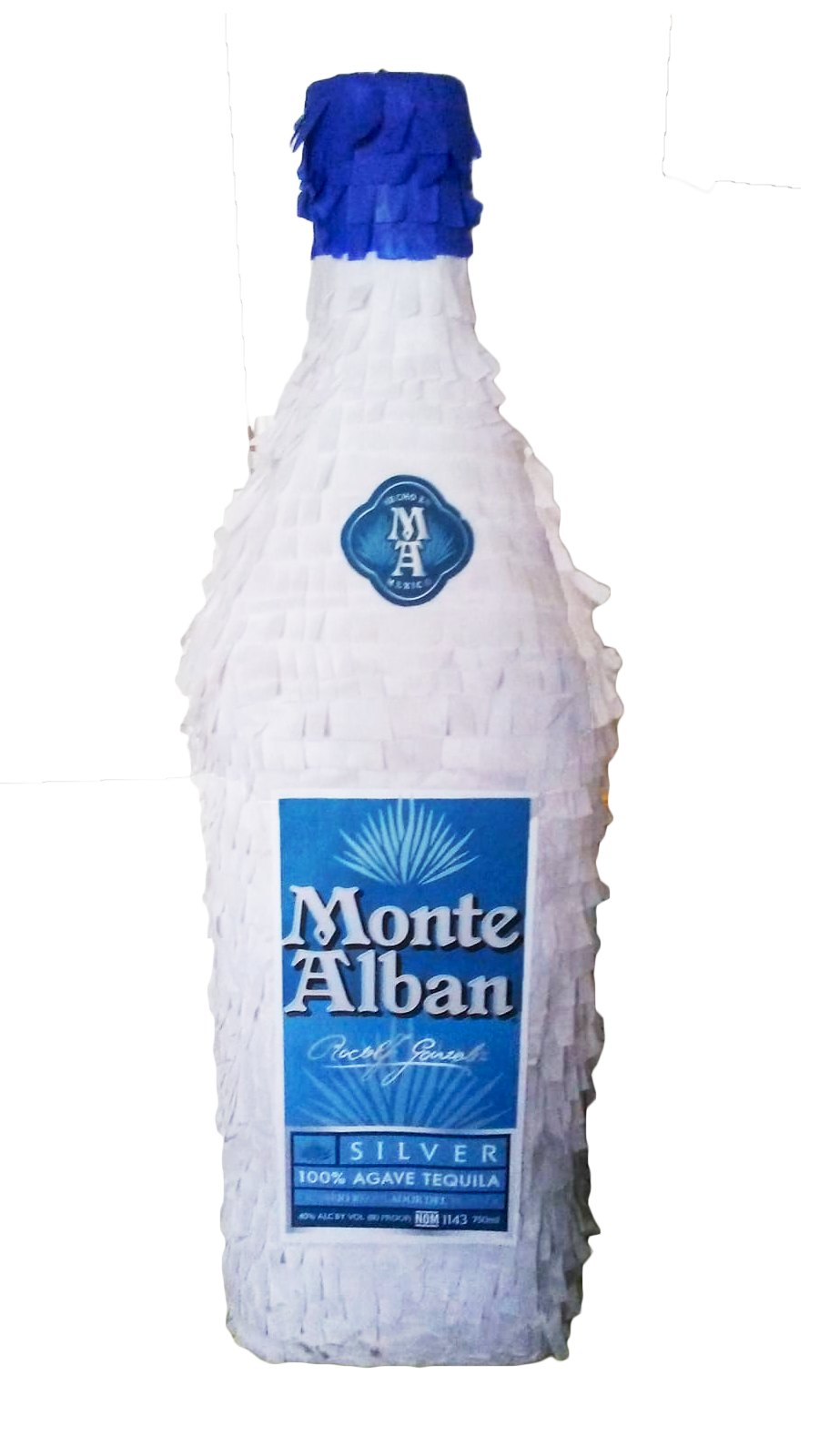 BOTTLE CORPORATE LOGO PINATA