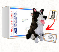 Mini Pet Clone Pinata, 12