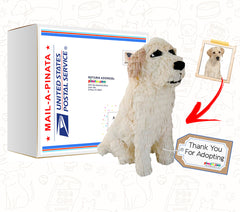 Mini Pet Clone Pinata, 12