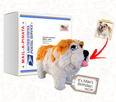 Mini Pet Clone Pinata, 12