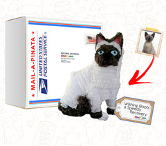 Mini Pet Clone Pinata, 12